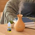 Humidifier Flavor Water soluble essential oil Fragrance 5 different smell combo total 60 ml.