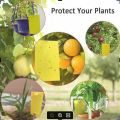 Fruit Fly Traps Bugs Yellow Sticky Board Pest Control Insect Killer Two-sided Glue Paper Trap For Kill Pest. 