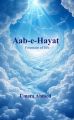 Aab-E- Hayat by Umera Ahmed - English Translated - Paperback. 