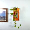 Wall flower Vase of natural wood and glass for office and living room. (without plant).