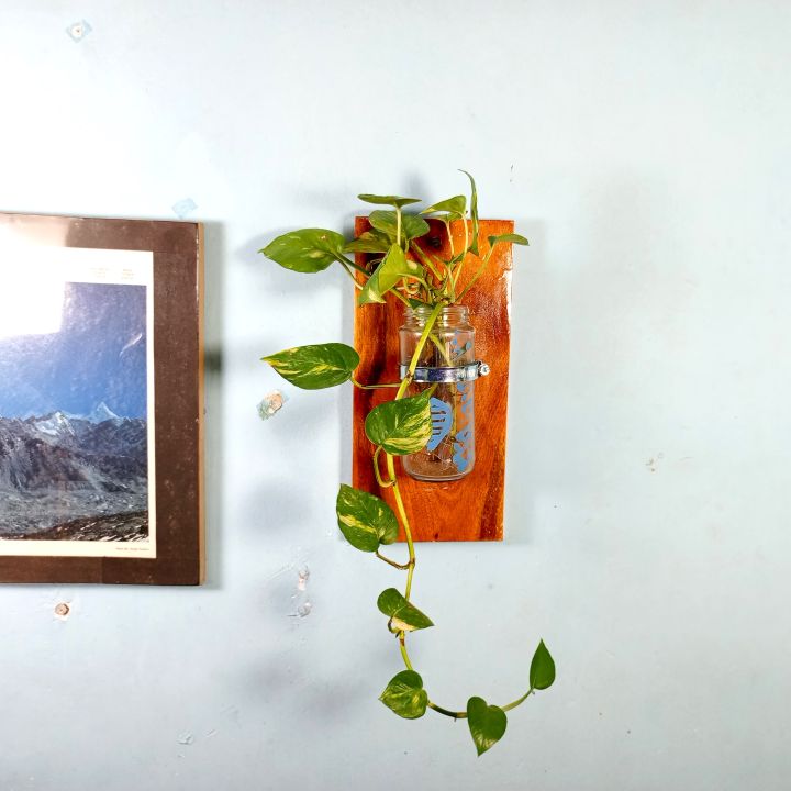 Wall flower Vase of natural wood and glass for office and living room. (without plant)