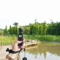 (New) 2 in 1 diamond texture silicone cover case set for DJI Osmo pocket.