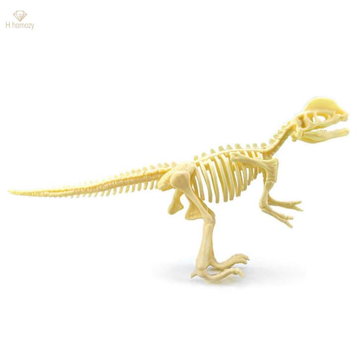 Dinosaur%20Skeleton%20Models%20Bones%20Figures%20for%20Festival%20-%20Image%202
