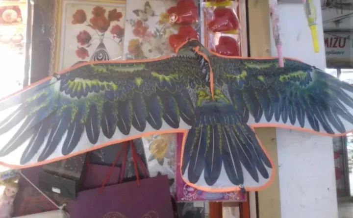 HUGE%2054"%20EAGLE%20KITE%20WITH%20STRING%20AND%20HANDLE%20-%20Image%206