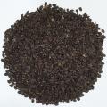 Best Quality Fresh Basil Seeds-tokma dana-1kg. 