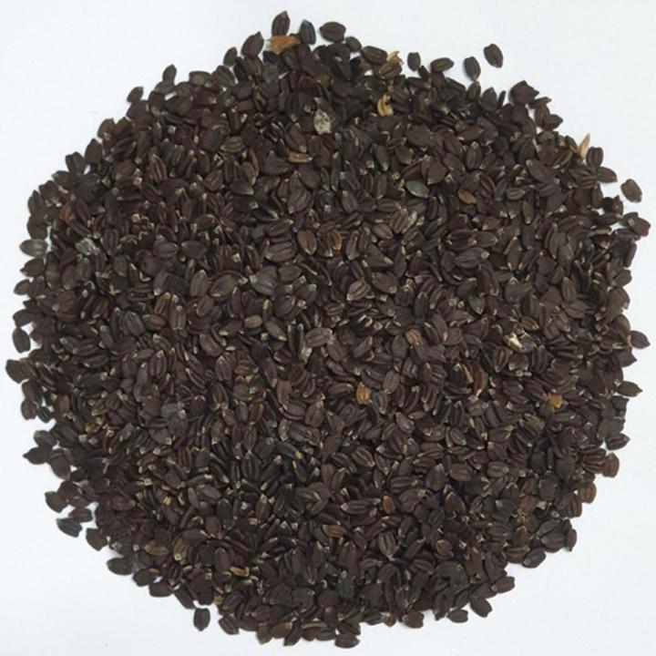Best Quality Fresh Basil Seeds-tokma dana-1kg