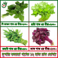 Lal Shak / Kolme Shak /  Data Shak / Ghi kancon Shak/Hybrid 4 type shak seed combo pack 800+pice. 