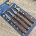 4 Pieces Kitchen 6 inchi Vegetable DIY Carving Knives Professional Chef Sharp Well Food Fruit Paring Knife.