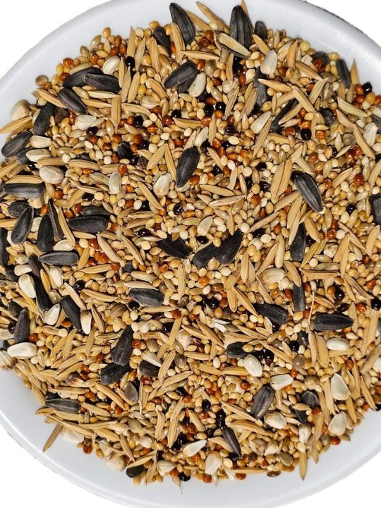 Premium%20Quality%20Cockatiel%20Love%20Bird%20Food%20%20Seed%20Mix%20-1kg%20-%20Image%202