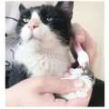 Pet Dog Cat Paw Nail Clippers Scissors Nail File Pet Nail Clippers with Safety Lock. 