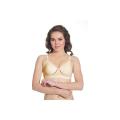 Kalyani Diksha Full Coverage Bra For Women Golden 38. 