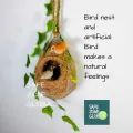 One Hanging Bird Nest with two birds & plant for home and garden decor. Babui Pakhir Basha of 02 size, ( Height with hanging rope15 inch & 14 inch )।.