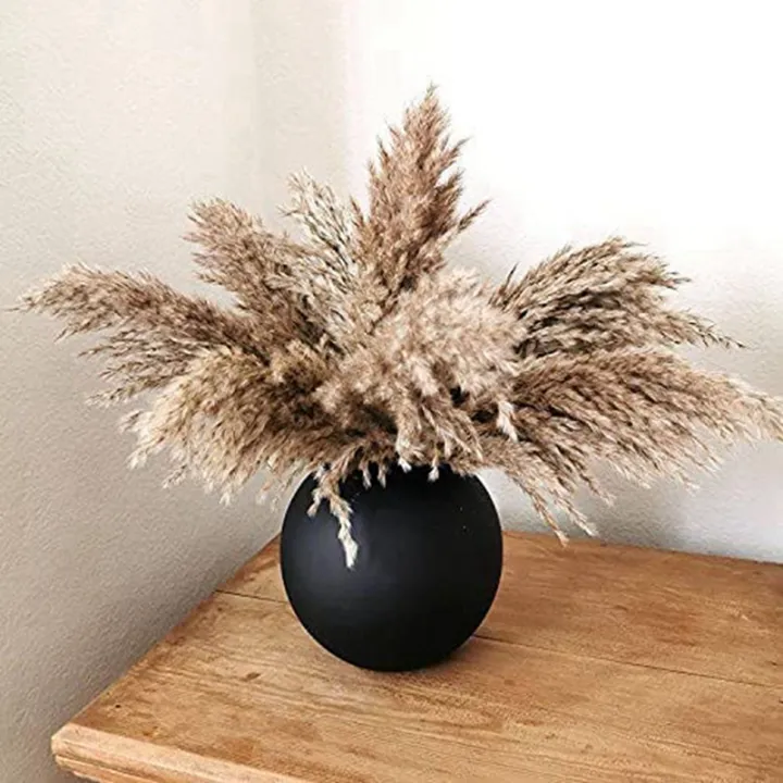 %E3%80%90linfang%20store%E3%80%9117.72Inch%20Dried%20Pampas%20Floral%20Decor%20Pampas%20Grass%20Stems%20Small%20Pampas%20Bulk%20Natural%20Pampas%20Short%20-%20Image%203