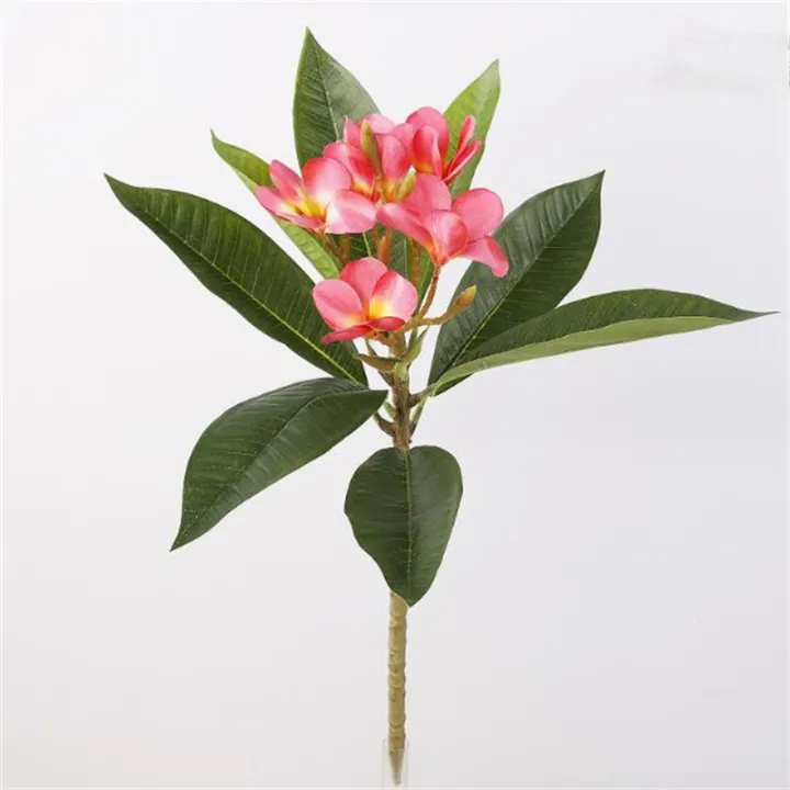 One%20Faux%20Single%20Stem%20Frangipani%2023%20Length%20Simulation%20Plumeria%20Real%20Touch%20Green%20Leaf%20for%20Wedding%20Centerpieces%203%20Colors%20-%20Image%207