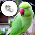 Ringneck Parrot China Ring 1" X 1" X 1" for Pet Birds. 