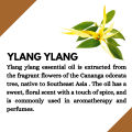 Ikebana Ylang Ylang Essential Oil - 20ml. 