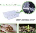 Transparent plastic plant propagate seed tray 12 cells - Vintage Choice - Exclusive Experience. 