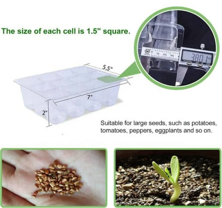 Transparent%20plastic%20plant%20propagate%20seed%20tray%2012%20cells%20-%20Vintage%20Choice%20-%20Exclusive%20Experience%20-%20Image%205
