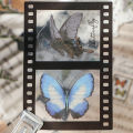RHS Online 6PCS PET Flat Stickers Flower Series Rose Butterfly Album Diary Decorative Scrapbooking Sticker Gift. 