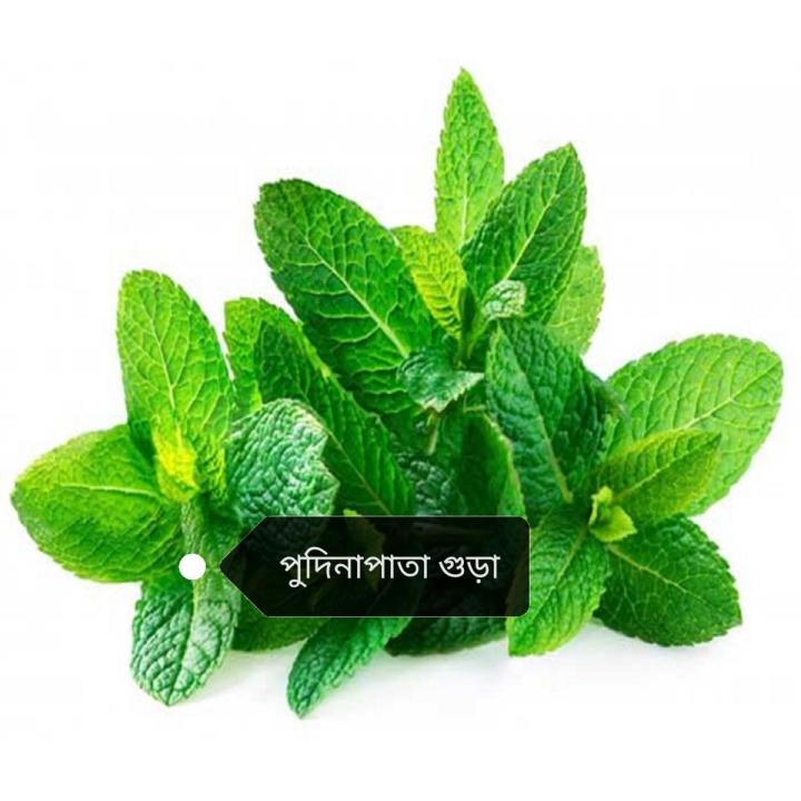পুদিনা পাতা গুড়া , Pudina Leaf Powder, 100 gram