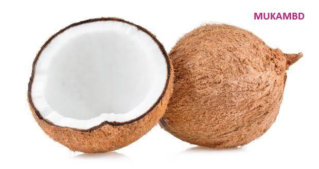 Coconut%20-%20Image%202