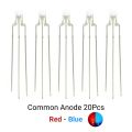 20PCS 3MM Round Clear Lens Two Color Common Anode/Cathode LED Red  Blue  Green Bi-Color Diode  Emitting Light. 