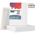 White Canvas Size : 10/12 inch - PACK OF 05 PCS. 
