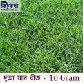 Dubba Grass Seed - 10 gm - দূর্বা ঘাসের বীজ ১০ গ্রাম বা প্রায় ৪০০০+ টি বীজ.