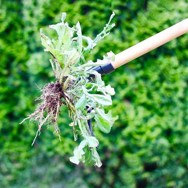 2X%20Weeder%20the%20Stand%20Up%20Weed%20Puller%20Tool%20Claw%20Weeder%20Root%20Remover%20Outdoor%20Killer%20Tool%20with%20Foot%20Pedal%20-%20Image%206