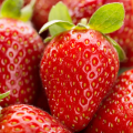 Red Color Hybrid Strawberry Seeds 20 pics + Gift.