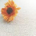 Xiaohongshu off-White Padded Solid Color Carpet Photo Studio Children Baby Live Bedroom Living Room Floor Mat Full Shop.