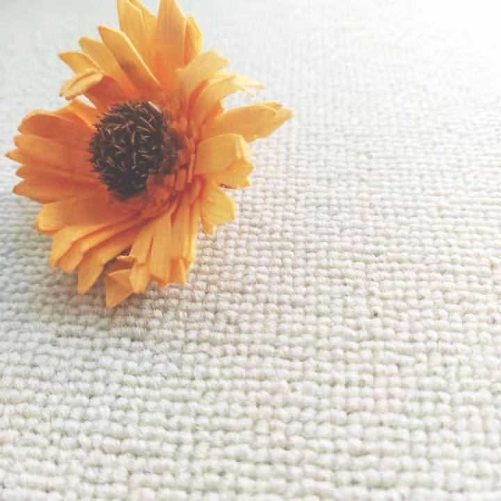 Xiaohongshu%20off-White%20Padded%20Solid%20Color%20Carpet%20Photo%20Studio%20Children%20Baby%20Live%20Bedroom%20Living%20Room%20Floor%20Mat%20Full%20Shop%20-%20Image%203