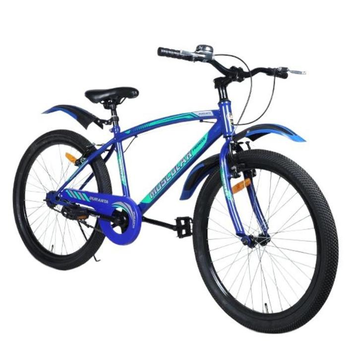 Duranta Steel 1-Speed Muscular Premier 24 Blue 847749