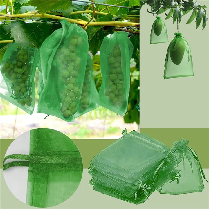 10%20PCS%20Fruit%20Garden%20Nylon%20Protection%20Bag%20Insect-proof%20protection%20Bag%20Insect%20Mesh%20Net%20for%20Anti%20Insect%20-%20Image%202