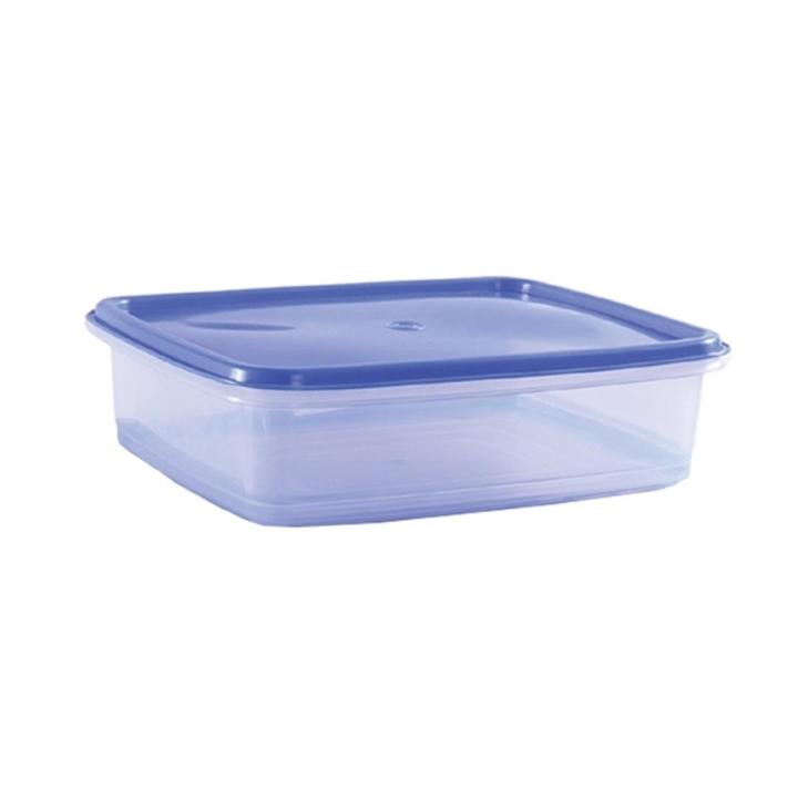 RFL Freezer Box 30.5 Cm Transparent 86535