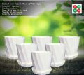 4 inch camellia planter (with tray) - 6 Pcs. 