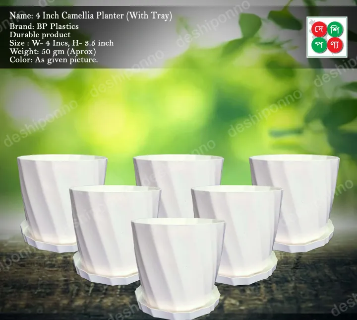 4%20inch%20camellia%20planter%20(with%20tray)%20-%206%20Pcs%20-%20Image%202