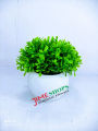 Artificial Grass Plant In Plastic pot - Home Decoration Item - ghash tob.