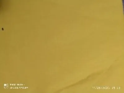 plain%20vowel%20goj%20kapor%20%20(3goj)%20-%20Image%203