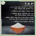Urea + TSP + Potash (Chemical Fertilizer Combo) - 500+500+500 = 1.5Kg.