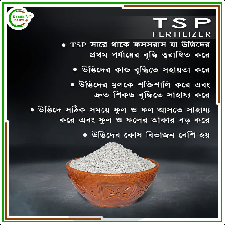 TSP%20(Chemical%20Fertilizer)%20-%201%20kg%20-%20Image%203