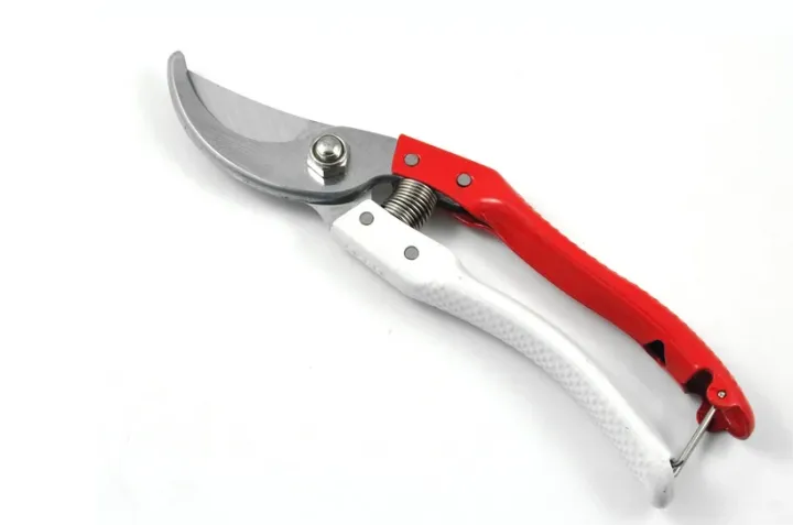 Garden%20Scissor,%20Pruning%20Scissor,%20Rust%20proof%20SS%20Material,%20%20Pruning%20Shears%20for%20Plants%20,%20Smooth%20Brunch%20Cutter%20for%20your%20Garden.%20-%20Image%204