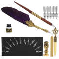 Feather Pen Kit Set Calligraphy Writing Drawing Quill Dip Vintage Art Craft Collection.