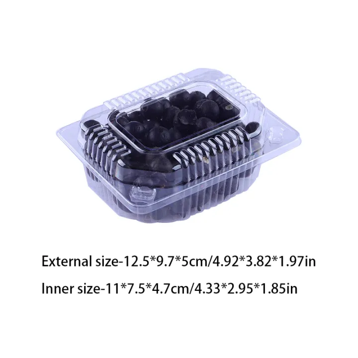 100pcs%20Transparent%20Plastic%20Packaging%20Box%20Disposable%20Fruit%20Box%20Food%20Preservation%20Takeaway%20Pastry%20Cake%20Snack%20Packaging%20Box%20Bayline%20-%20Image%204