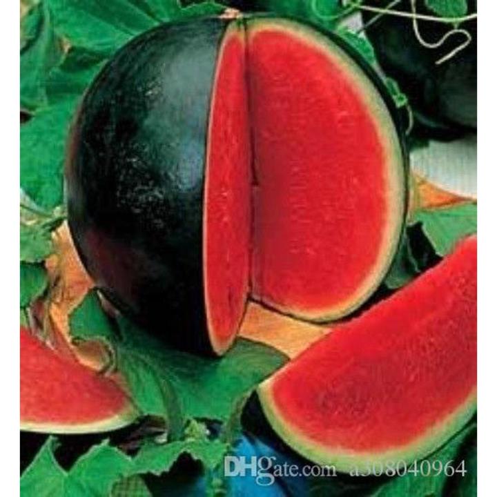 SUGAR BABY WATERMELON Fruit Seeds garden decoration Seeds - 10pcs