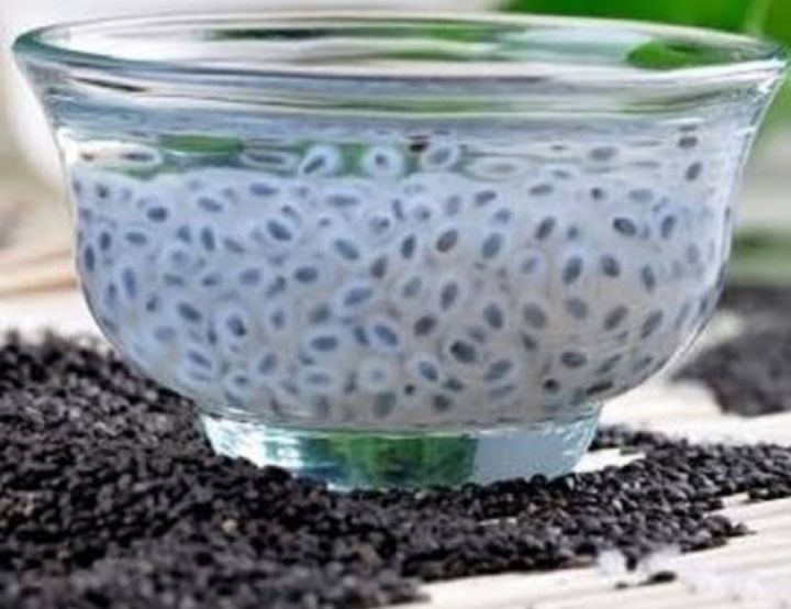 Tokma%20Dana%20Basil%20Seeds%20Tokma%20Dana%20-250gm%20(Premium)%20-%20Image%202