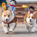【Yuanzhss Pet dog chucky costume dog outfit chuckie pet costume frenchbulldog cartoon pet cowboy Costume for cat dog costume for shih tzu cat funny costume toy poodle dog clothes Puppy clothes haloween costume dog 狗狗搞怪衣服 造型狗衣服. 
