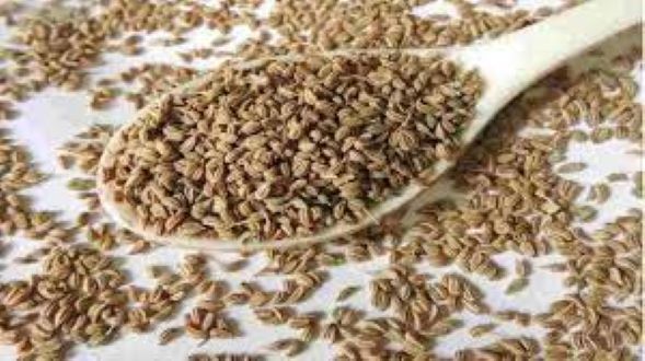 Ajwain-ajowan,-Joyan%20dana%20(%20Ajwain%20Carom%20Seeds%20)-500%20gm%20-%20Image%208