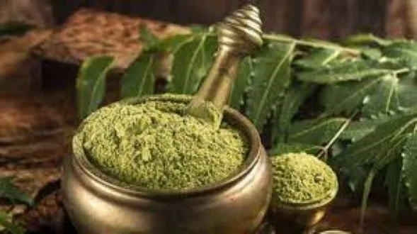 Neem%20Pata%20Gura%20Powder%20200%20Gm%20-%20Image%205