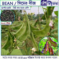 শিম / সিম বীজ - 10/20+ pcs Bean Seed -  -   চ্যাপ্টা বা মোটা ধরনের বিচি কম মাংসাল অংশ বেশি এমন সিমের বীজ. 